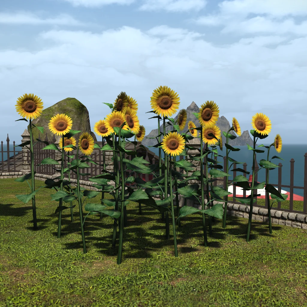 Sunflower Plot