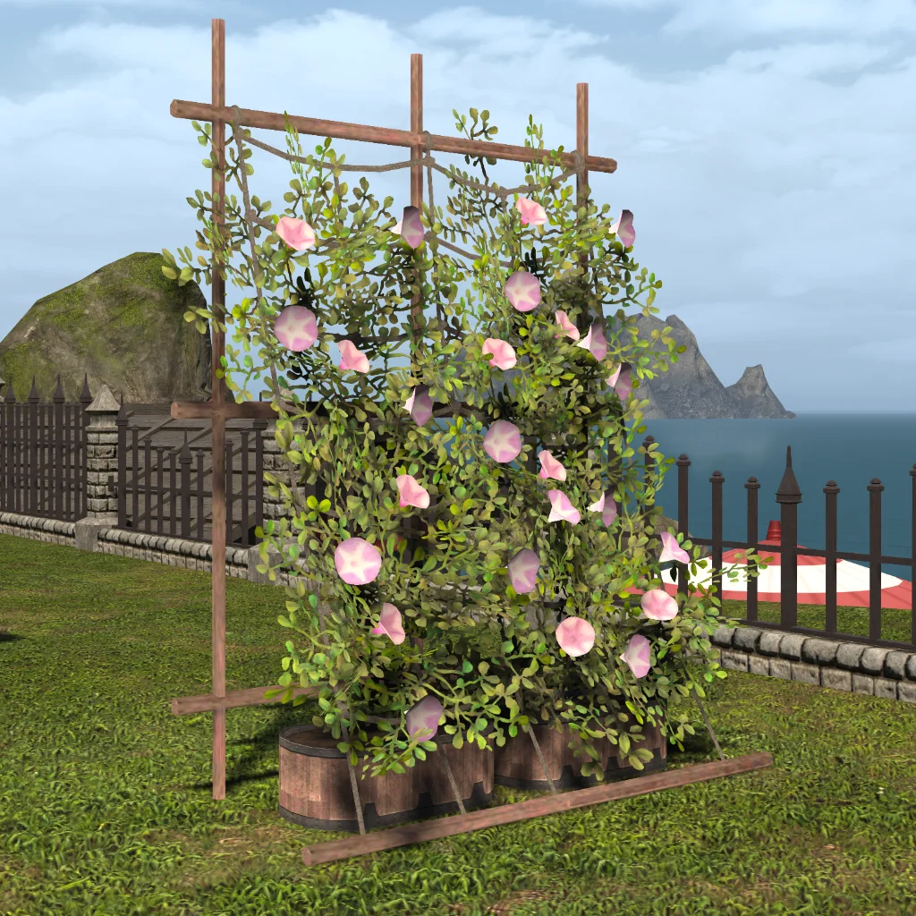 Morning Glory Plot