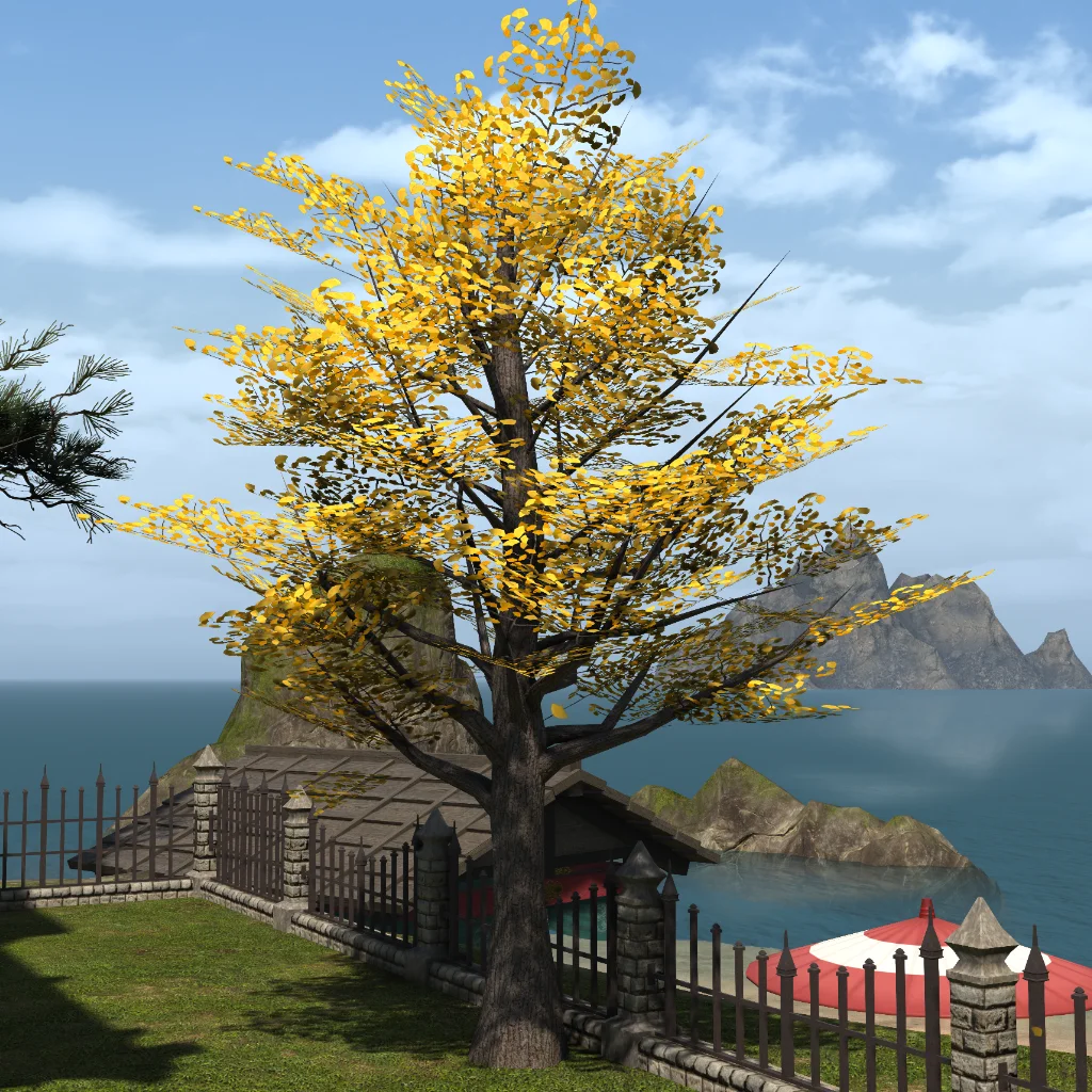 Autumnal Ginkgo Tree
