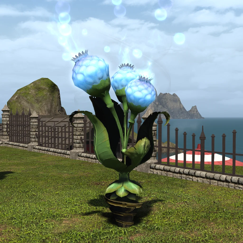 Moongrass Plot
