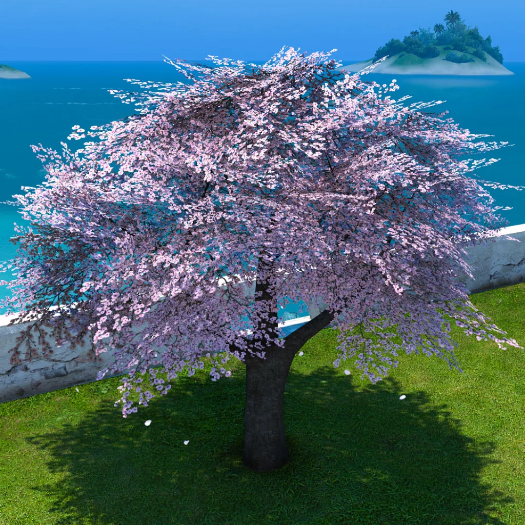 Authentic Eastern Cherry Tree