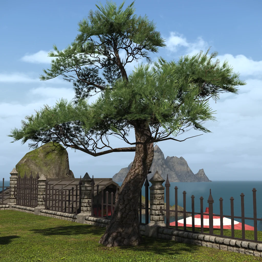 Eastern Pine