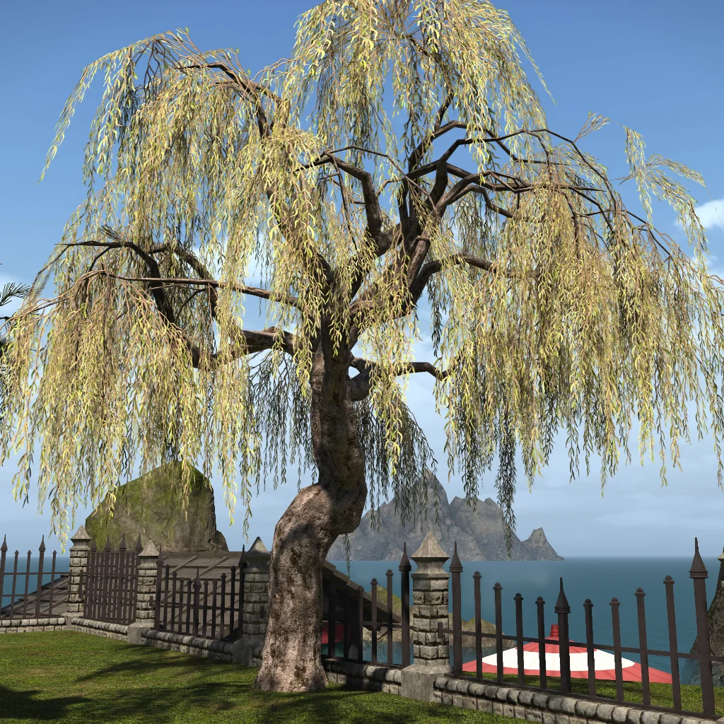 Far Eastern Willow