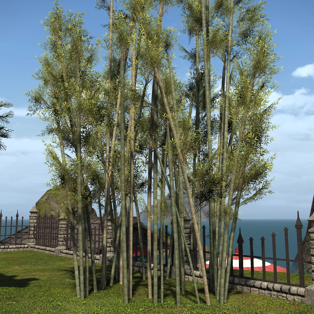 Bamboo Copse