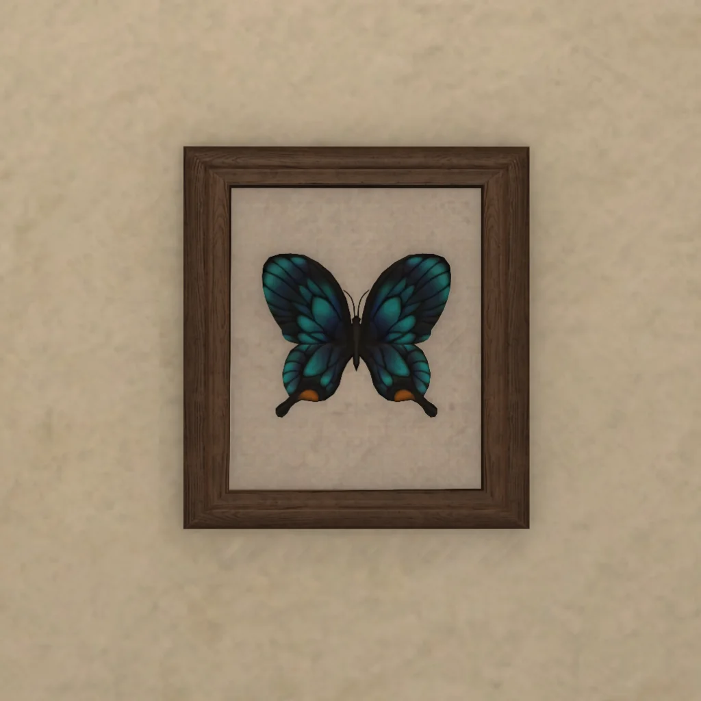 Butterfly Specimen