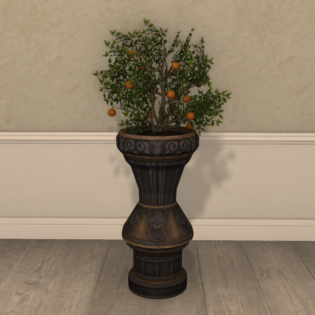 Potted Orange Tree