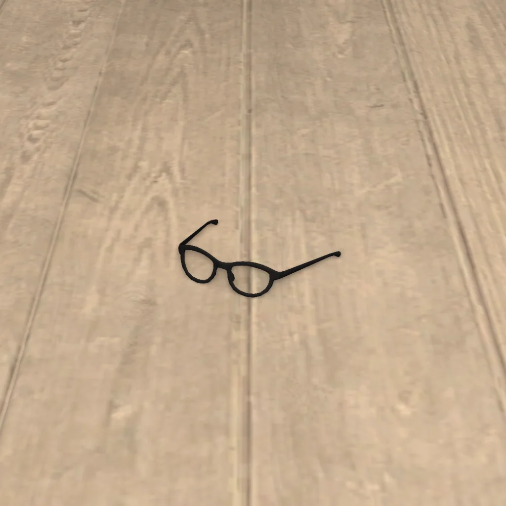 Misplaced Eyeglasses