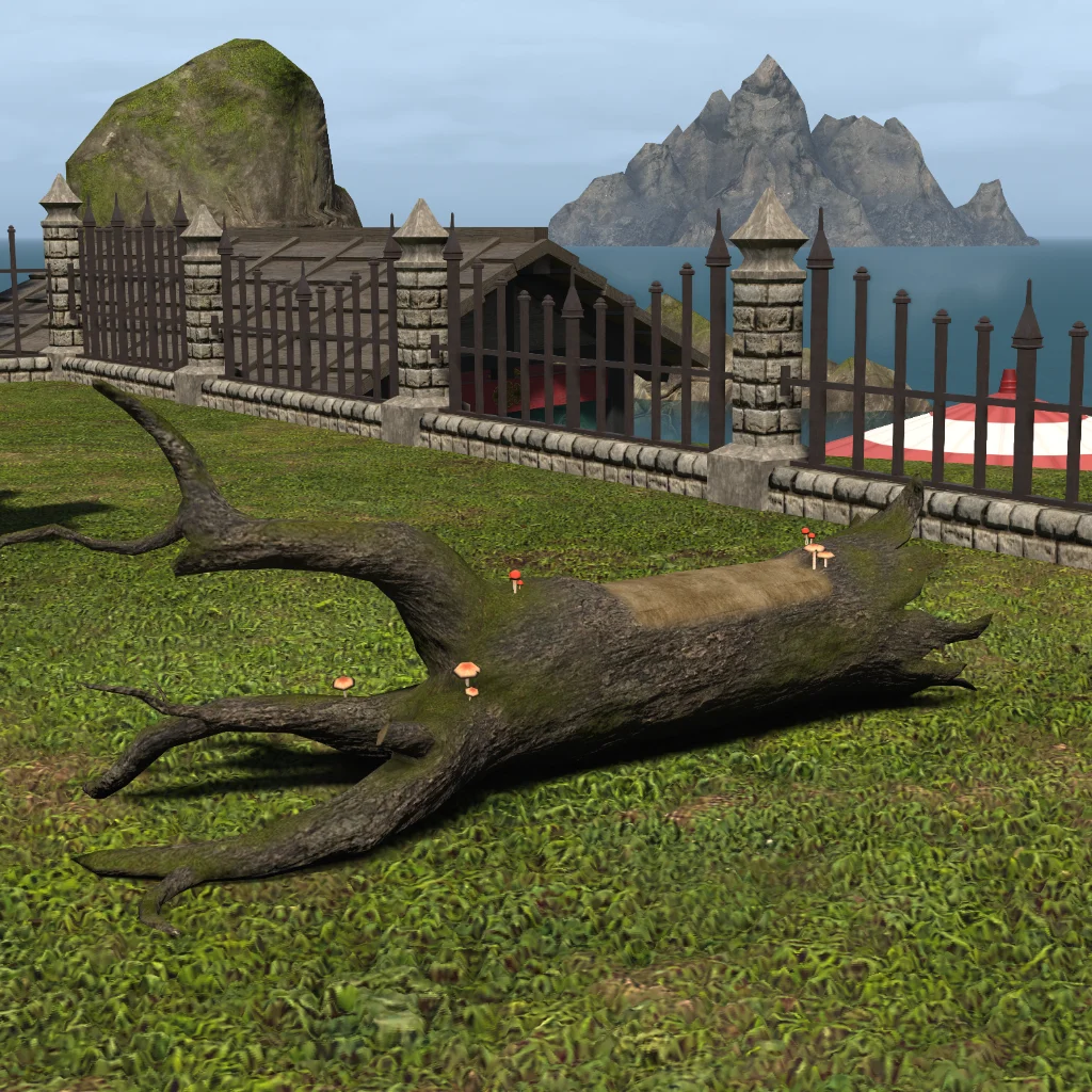Fallen Tree