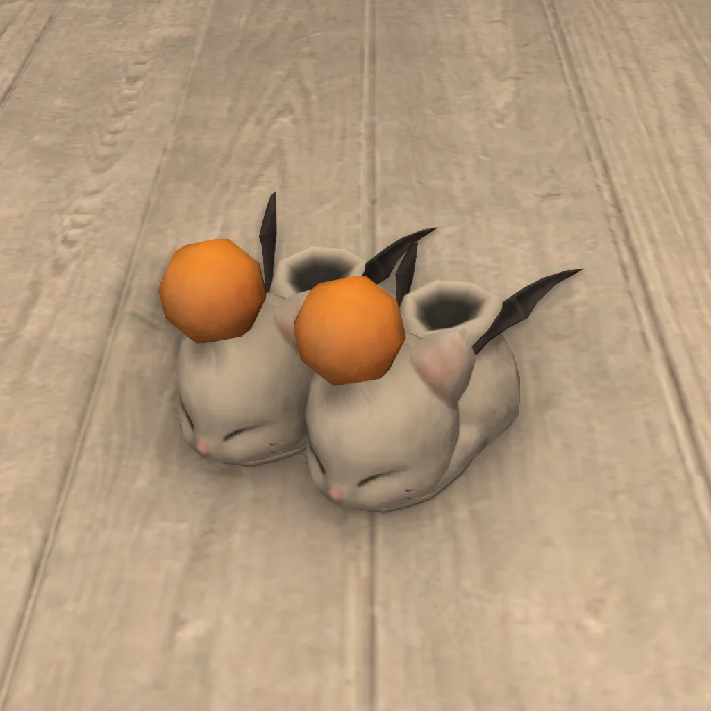 Misplaced Mog Slippers