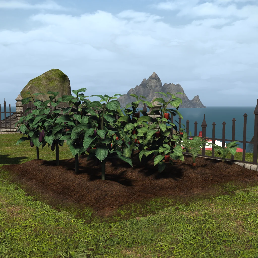Vegetable Garden