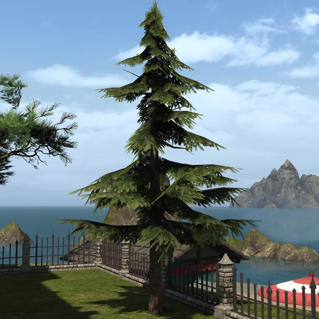 Cedar Tree