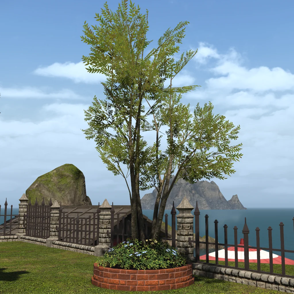 Parkside Tree