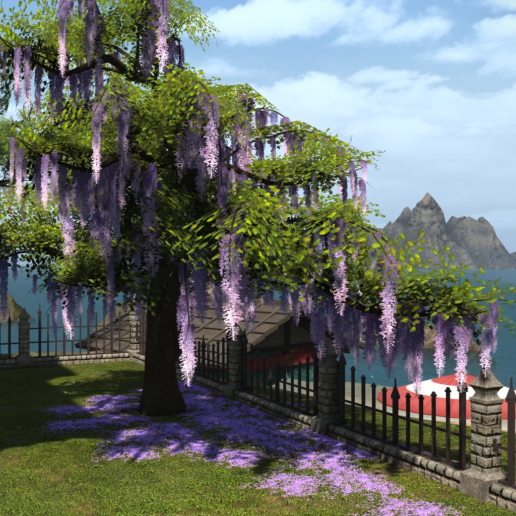 Eastern Wisteria