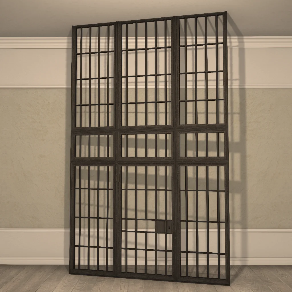 Gaol Partition Door