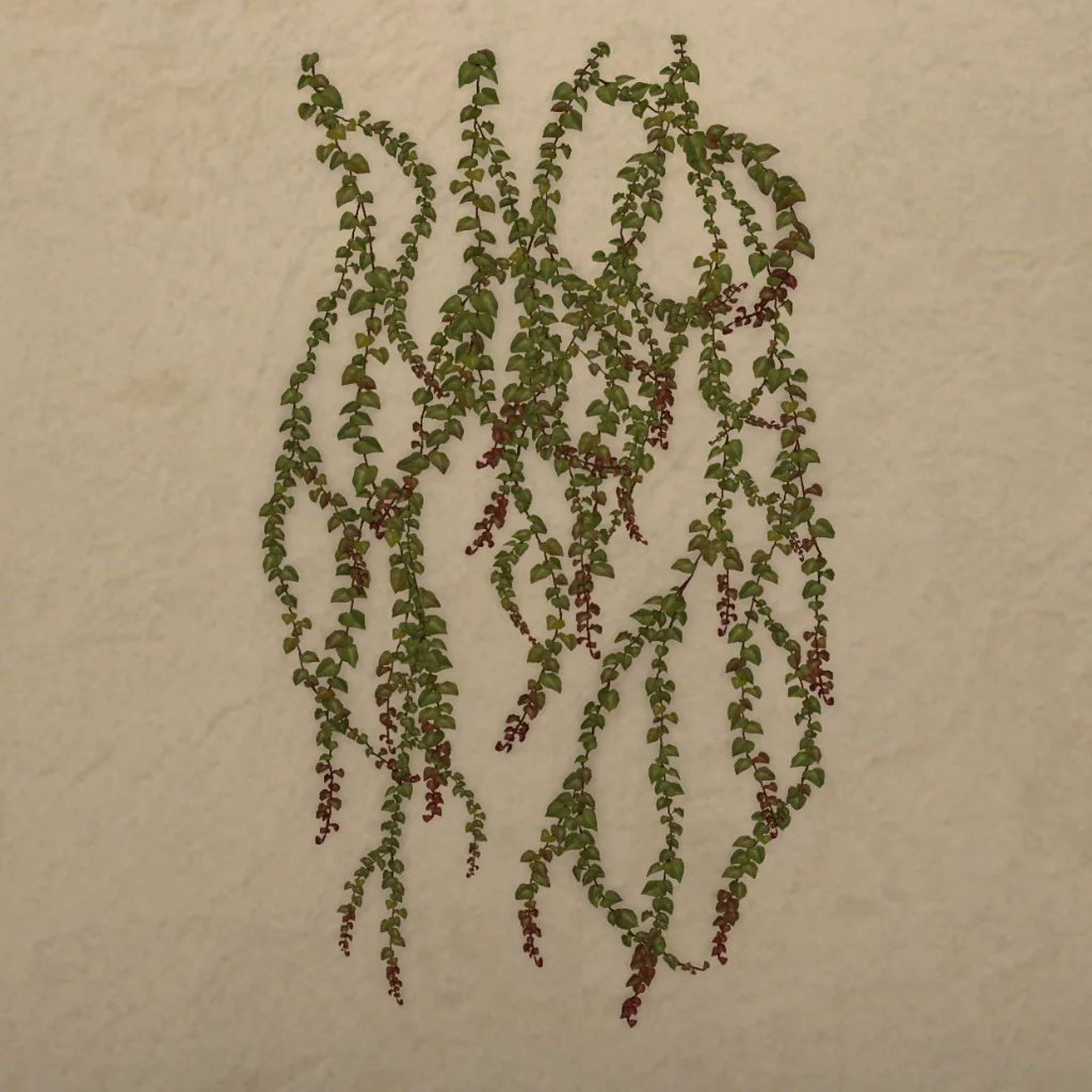 Wall-climbing Ivy