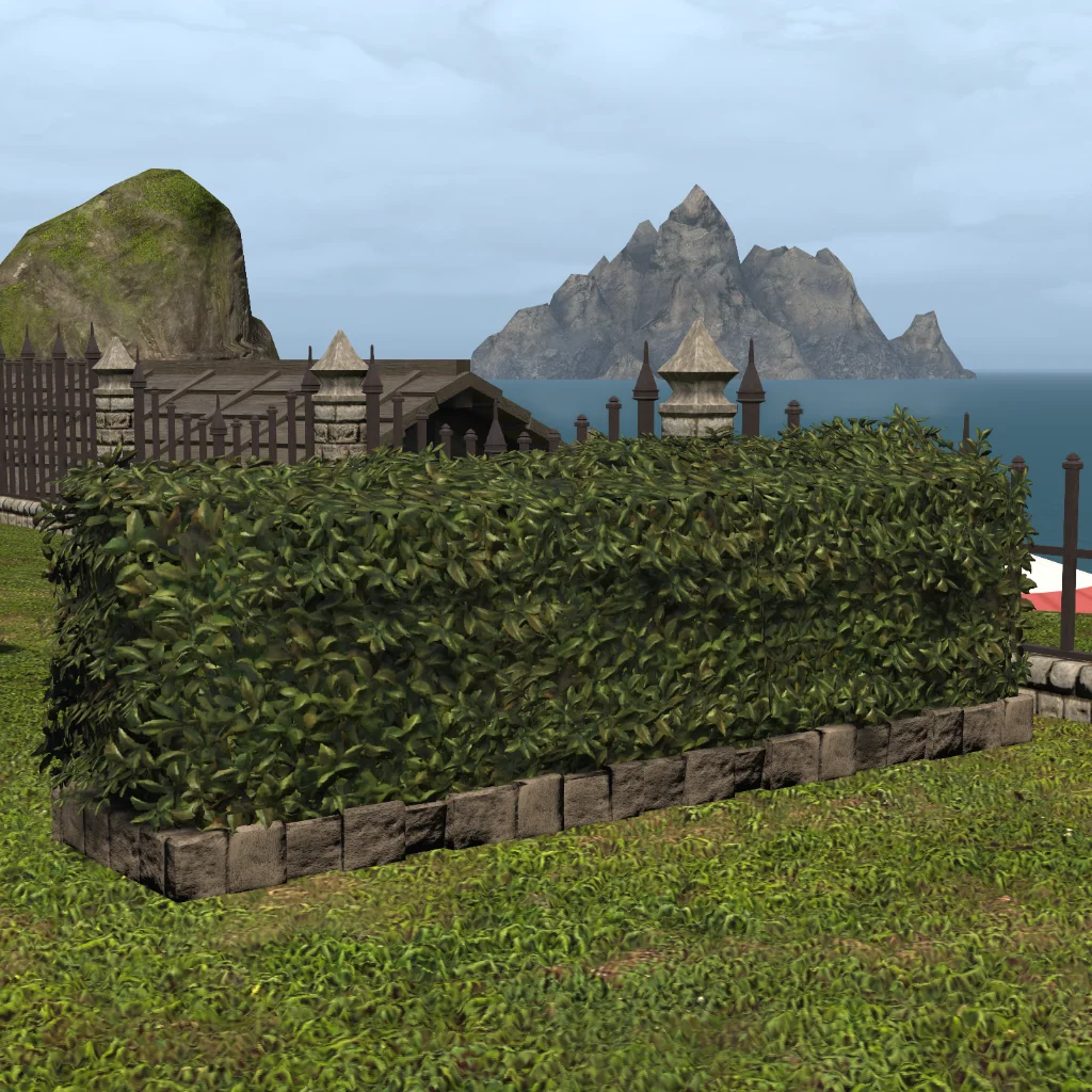 Low Garden Hedge