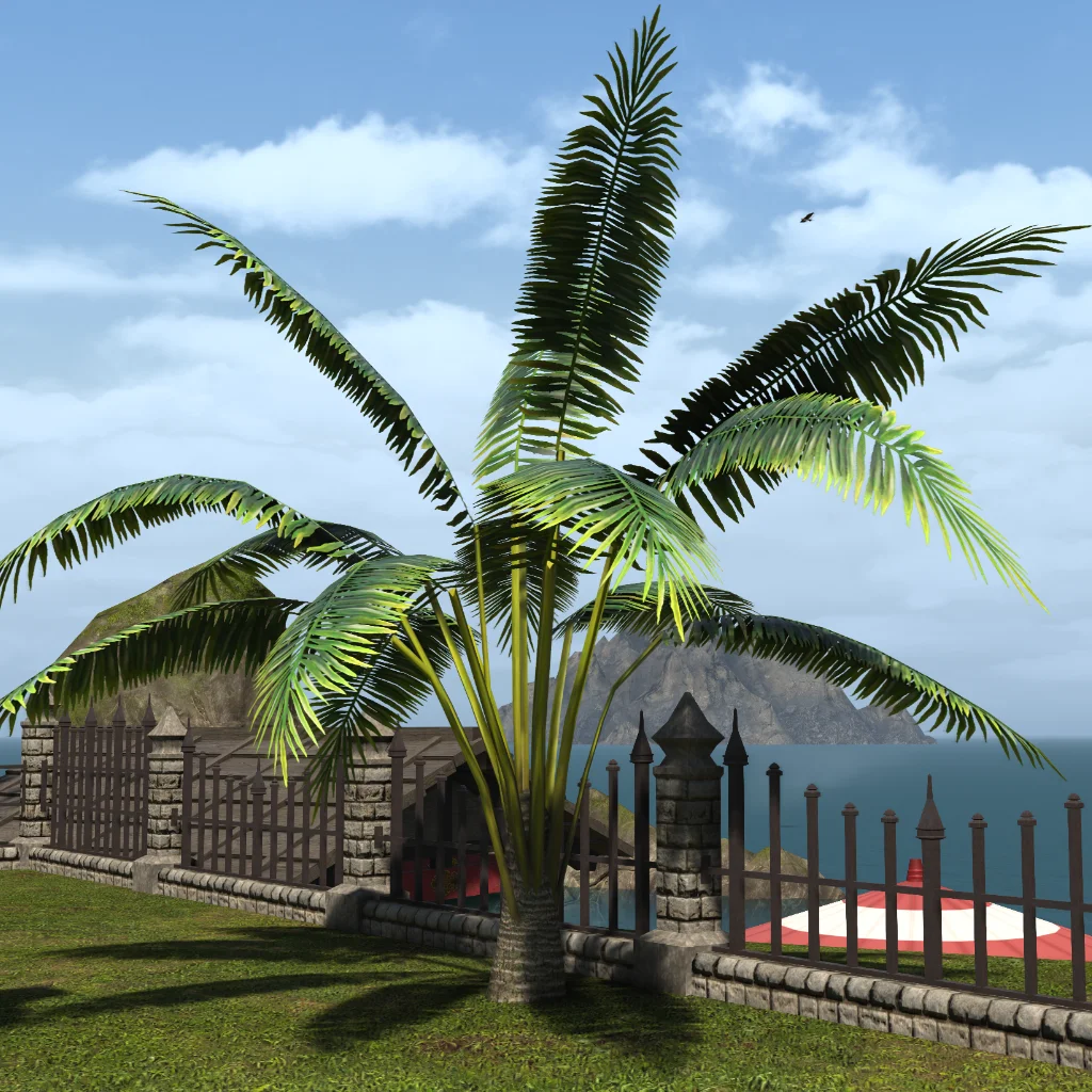 Aloalo Island Palm