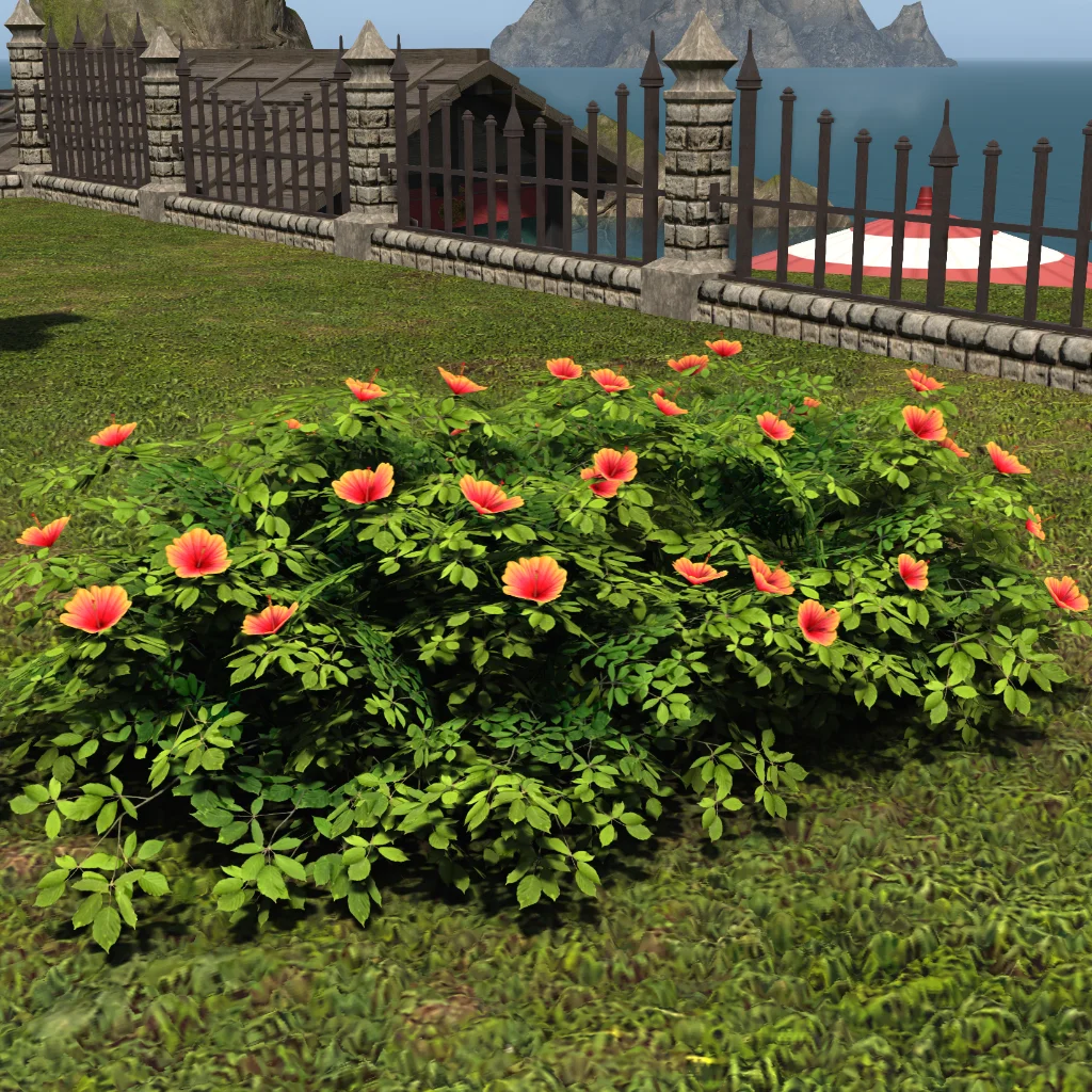 Aloalo Roselle Hedge