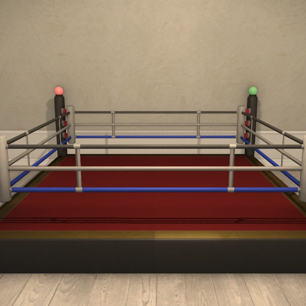 Fighting Ring