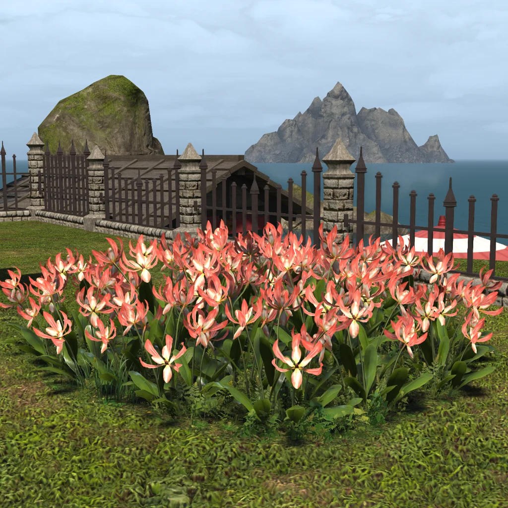 Ihuykatumu Flower Plot