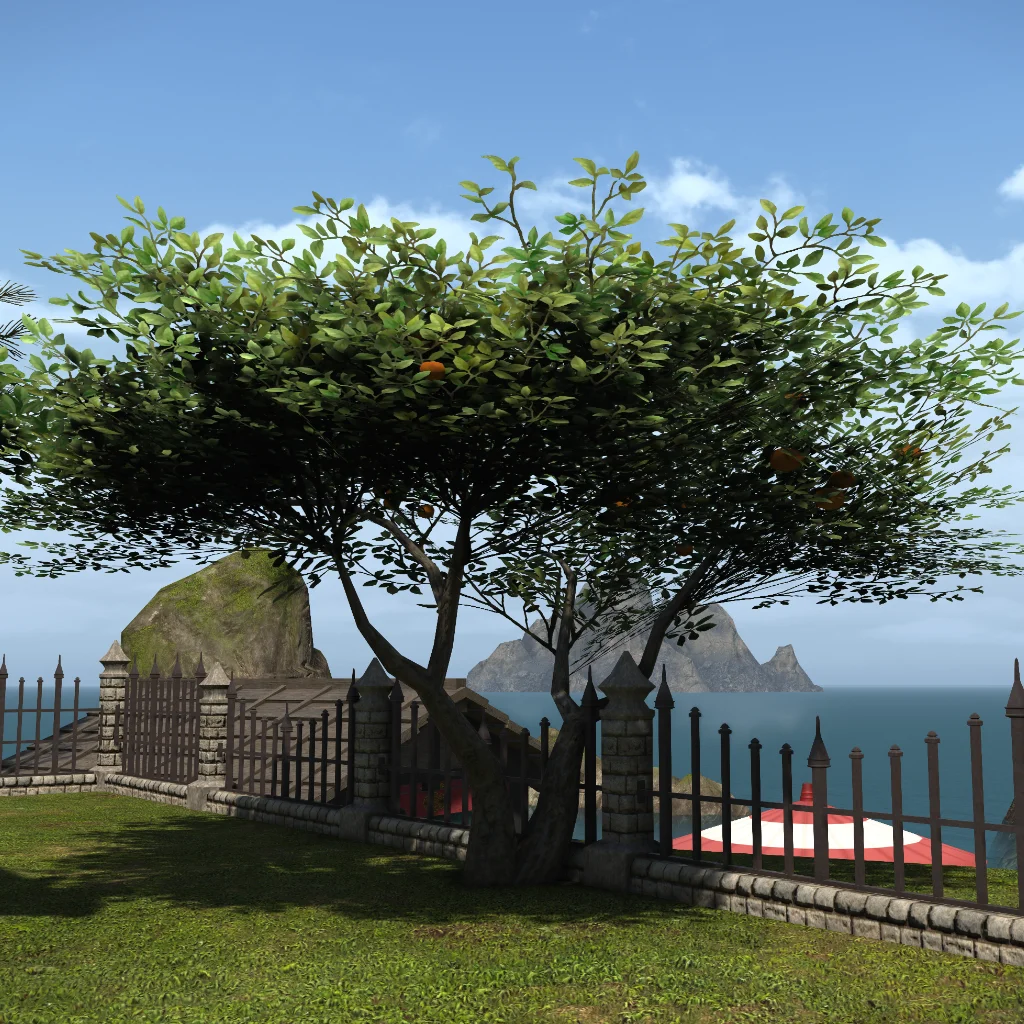 La Noscean Orange Tree