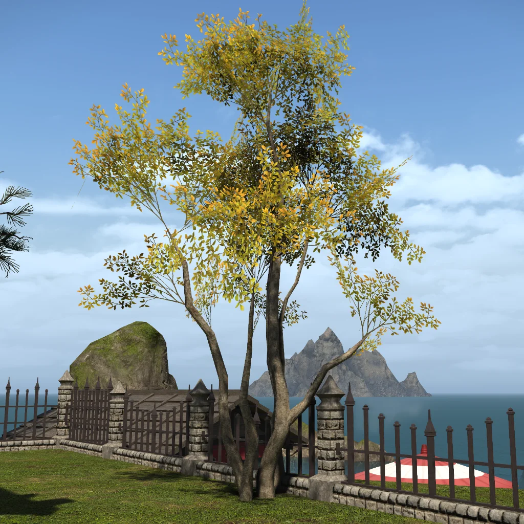 East End Tree