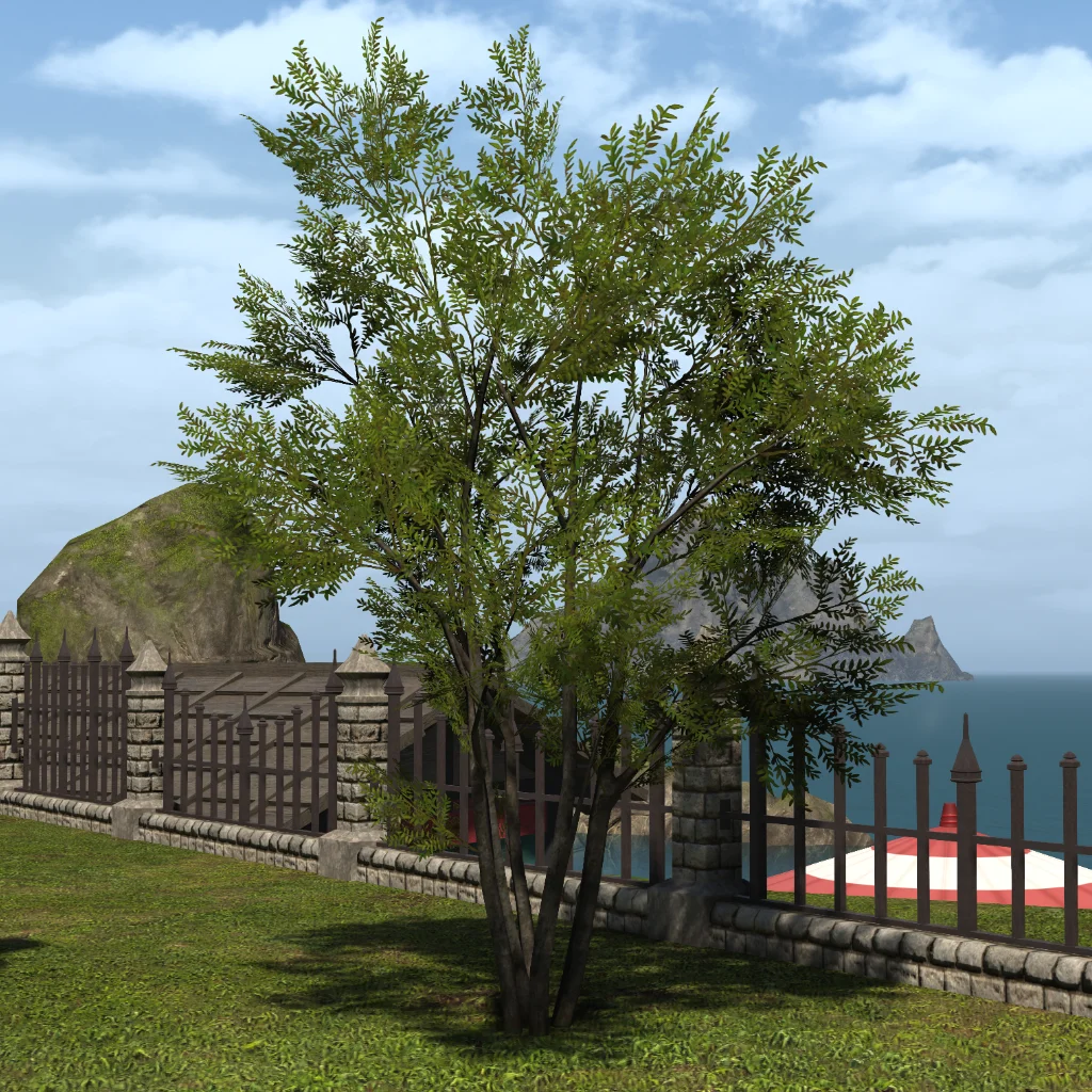 Shroud Broadleaf