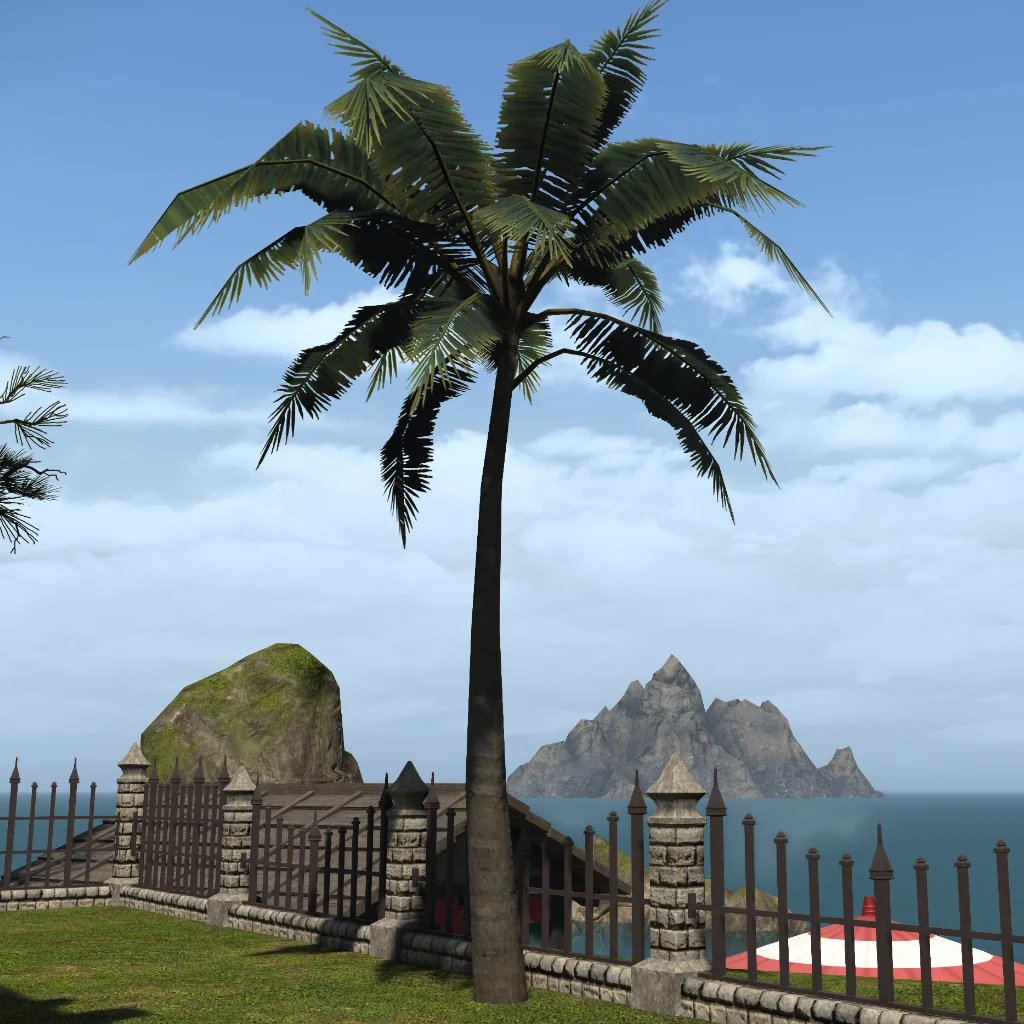 Island Palm