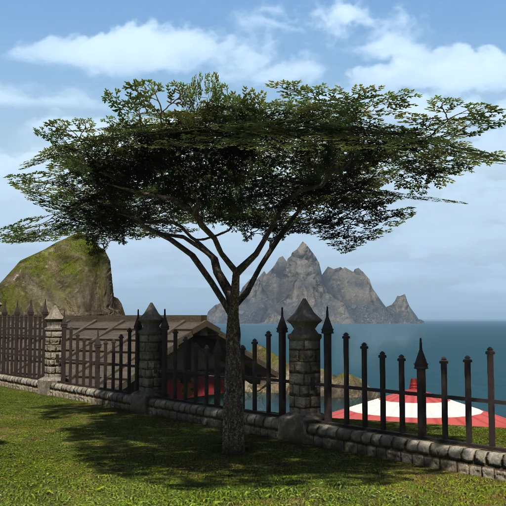 Desert Ironwood