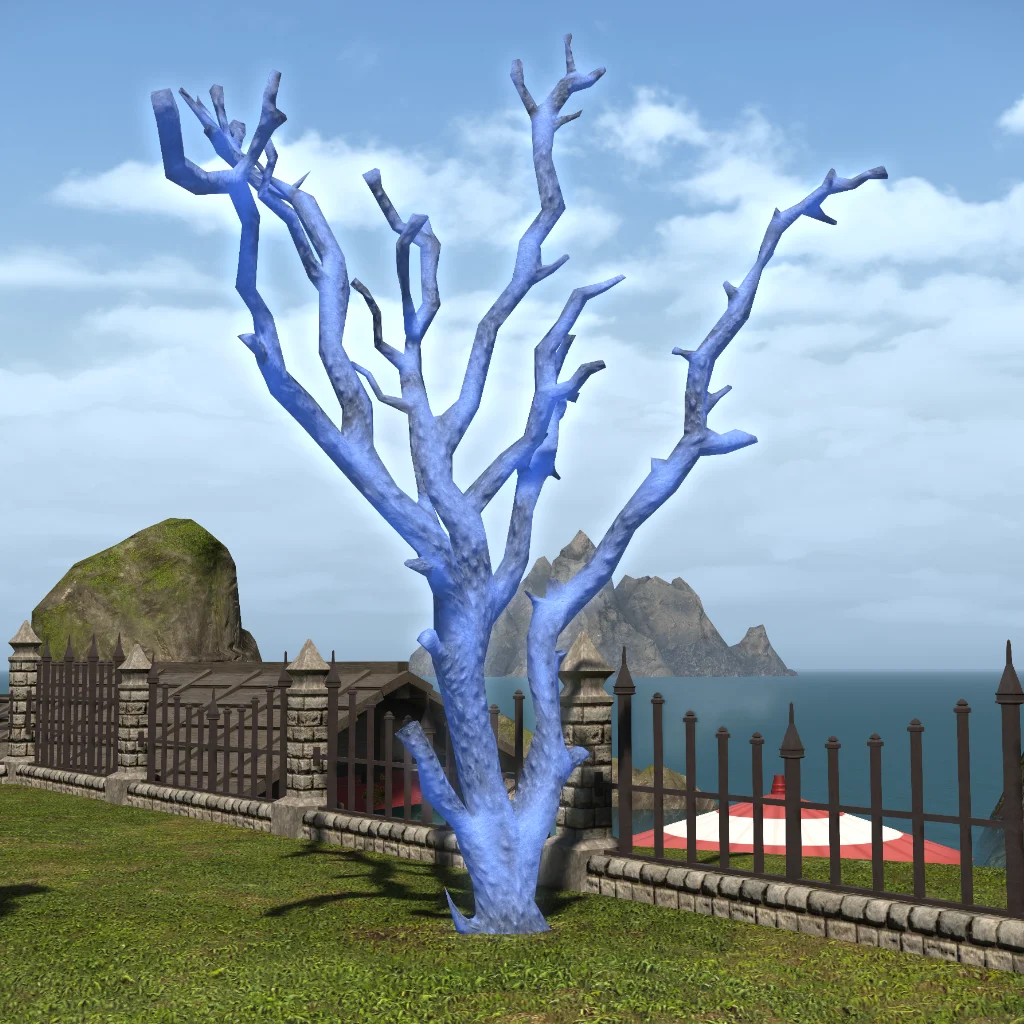 Blue Coral Formation