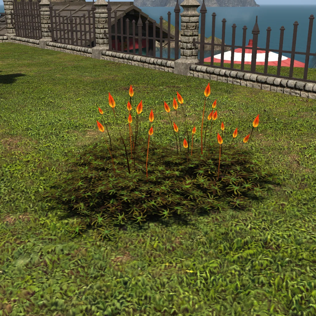 Bloodblossoms