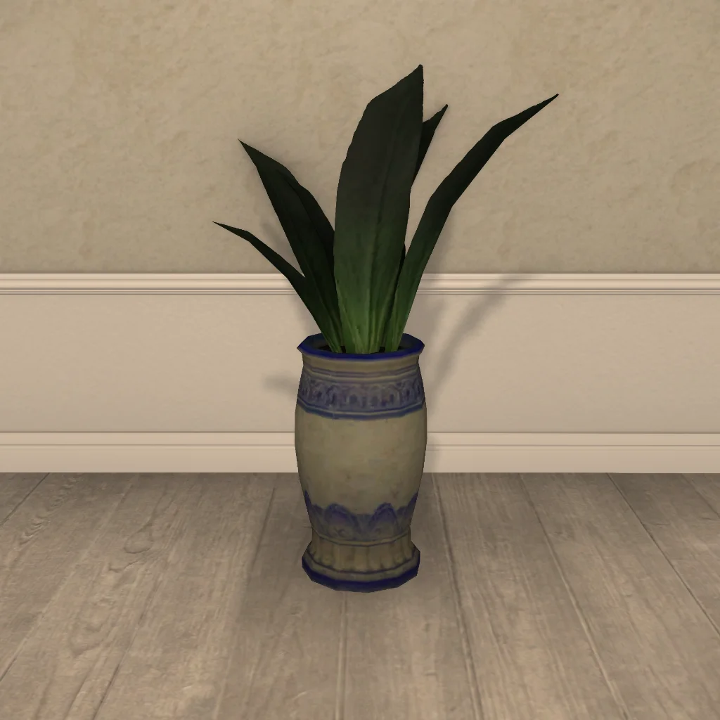 Potted Maguey