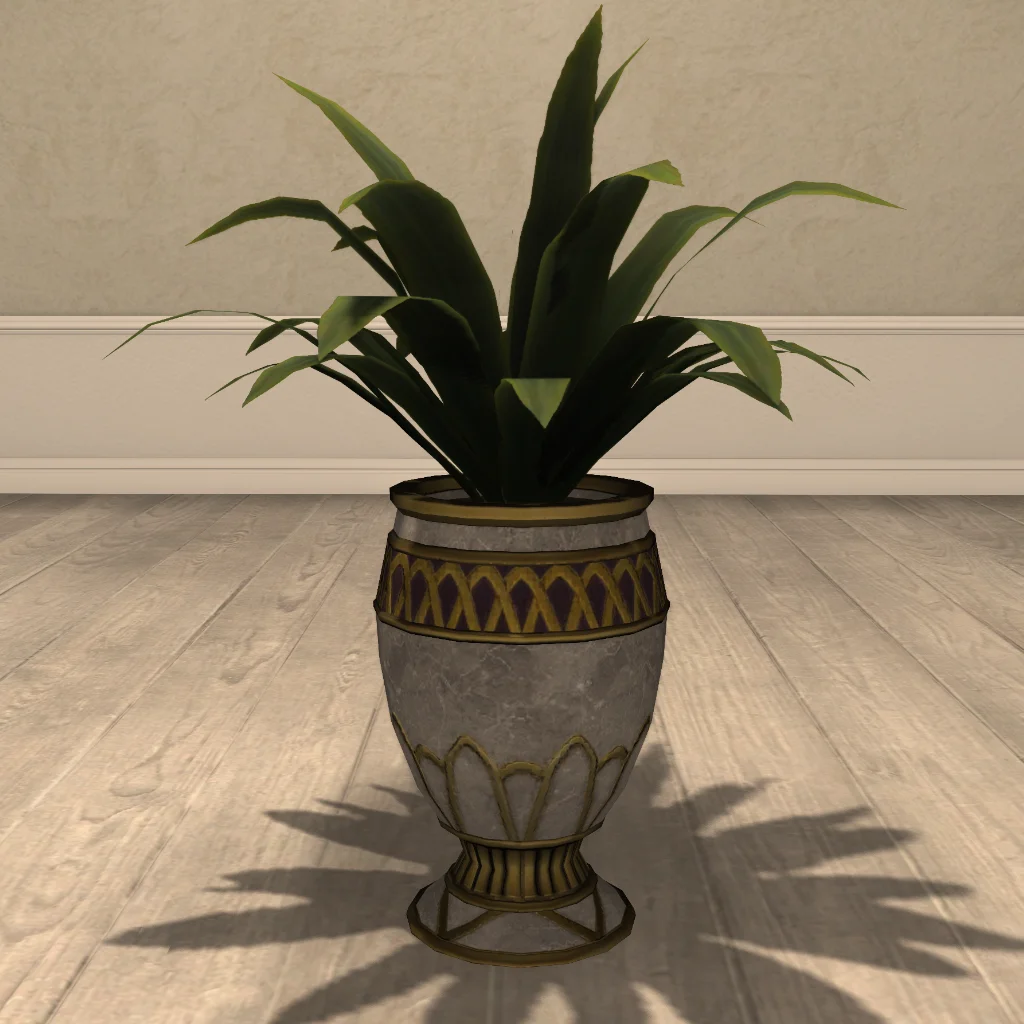 Potted Spider Plant